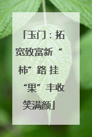 玉门：拓宽致富新“柿”路 挂“果”丰收笑满颜
