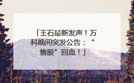 王石最新发声！万科晚间突发公告：“售股”回血！