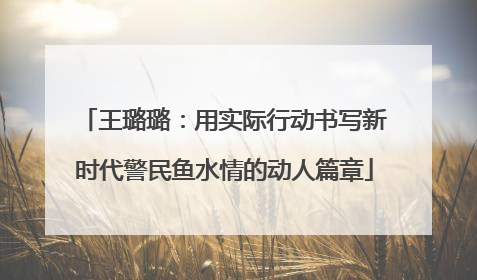 王璐璐：用实际行动书写新时代警民鱼水情的动人篇章