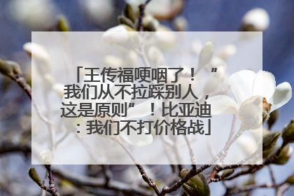 王传福哽咽了！“我们从不拉踩别人，这是原则”！比亚迪：我们不打价格战