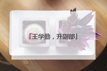 王学勤，升副部