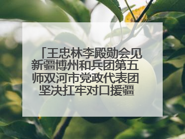 王忠林李殿勋会见新疆博州和兵团第五师双河市党政代表团 坚决扛牢对口援疆重大政治责任 推动双方实现优势互补务实合作