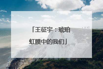 王征宇：琥珀虹膜中的我们
