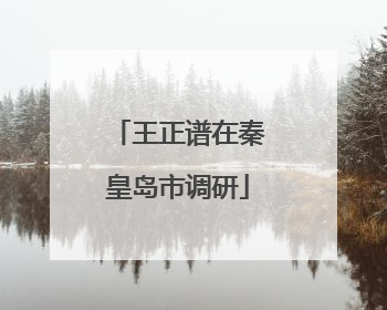 王正谱在秦皇岛市调研