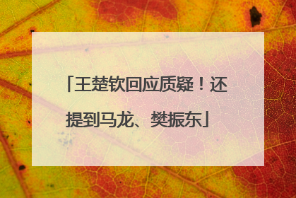 王楚钦回应质疑！还提到马龙、樊振东