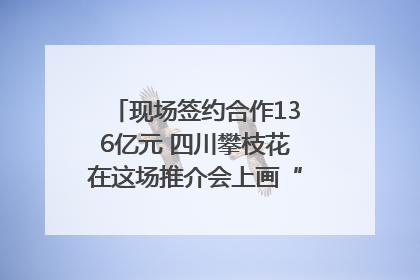 现场签约合作136亿元 四川攀枝花在这场推介会上画“图谱”列“清单”