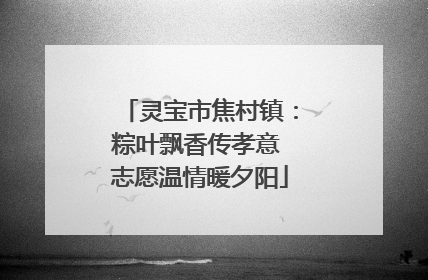 灵宝市焦村镇：粽叶飘香传孝意 志愿温情暖夕阳
