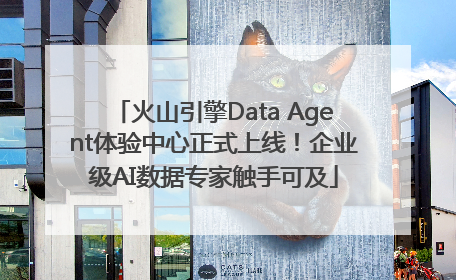 火山引擎Data Agent体验中心正式上线！企业级AI数据专家触手可及