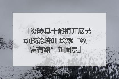 炎陵县十都镇开展劳动技能培训 绘就“致富有路”新图景