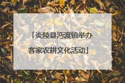 炎陵县沔渡镇举办客家农耕文化活动