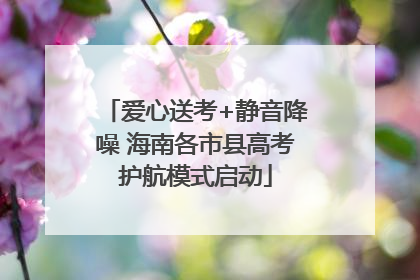 爱心送考+静音降噪 海南各市县高考护航模式启动