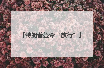 特朗普签令“放行”