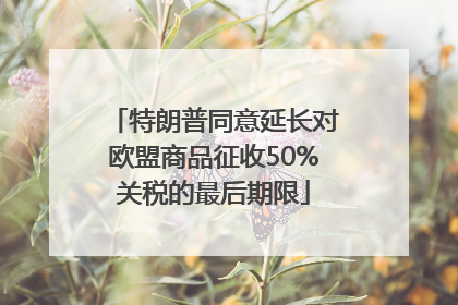 特朗普同意延长对欧盟商品征收50%关税的最后期限