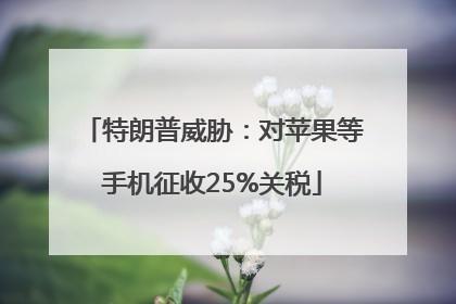 特朗普威胁：对苹果等手机征收25%关税
