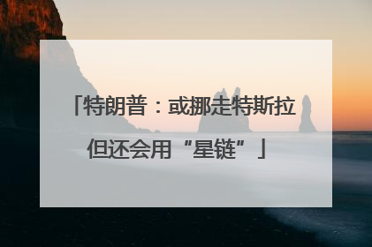 特朗普：或挪走特斯拉 但还会用“星链”
