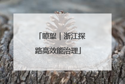 瞭望｜浙江探路高效能治理