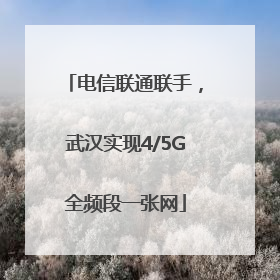 电信联通联手，武汉实现4/5G全频段一张网