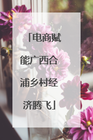 电商赋能广西合浦乡村经济腾飞