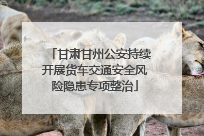 甘肃甘州公安持续开展货车交通安全风险隐患专项整治