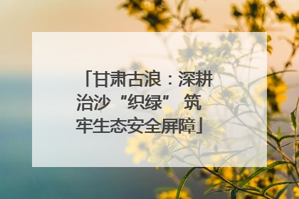 甘肃古浪：深耕治沙“织绿” 筑牢生态安全屏障