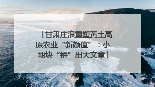 甘肃庄浪重塑黄土高原农业“新颜值”：小地块“拼”出大文章