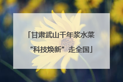 甘肃武山千年浆水菜“科技焕新”走全国