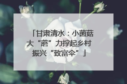 甘肃清水：小菌菇大“蘑”力撑起乡村振兴“致富伞”
