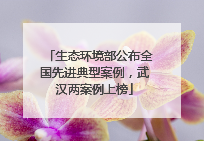 生态环境部公布全国先进典型案例，武汉两案例上榜