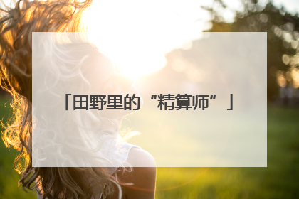 田野里的“精算师”