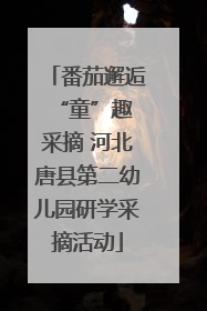 番茄邂逅 “童”趣采摘 河北唐县第二幼儿园研学采摘活动