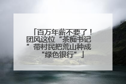 百万年薪不要了！团风这位“茶痴书记”带村民把荒山种成“绿色银行”