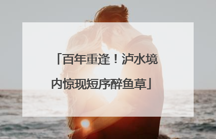 百年重逢！泸水境内惊现短序醉鱼草