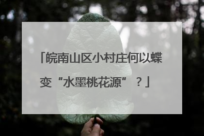 皖南山区小村庄何以蝶变“水墨桃花源”？