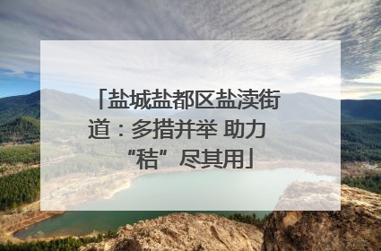 盐城盐都区盐渎街道：多措并举 助力“秸”尽其用