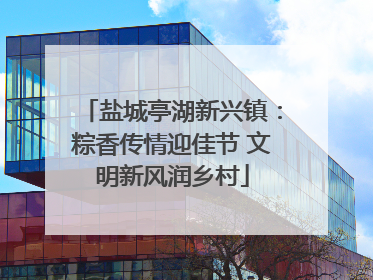 盐城亭湖新兴镇：粽香传情迎佳节 文明新风润乡村
