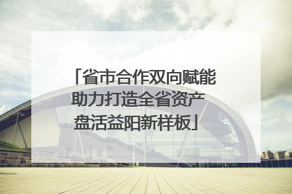省市合作双向赋能 助力打造全省资产盘活益阳新样板