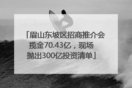 眉山东坡区招商推介会揽金70.43亿，现场抛出300亿投资清单