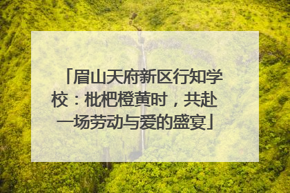 眉山天府新区行知学校：枇杷橙黄时，共赴一场劳动与爱的盛宴