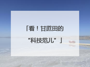 看！甘蔗田的“科技范儿”