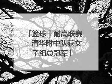 篮球｜耐高联赛：清华附中队获女子组总冠军