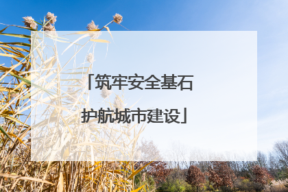 筑牢安全基石 护航城市建设