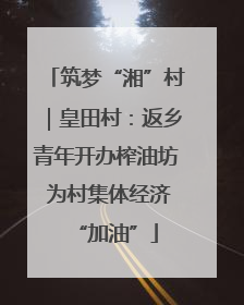 筑梦“湘”村｜皇田村：返乡青年开办榨油坊 为村集体经济“加油”