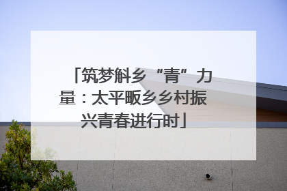 筑梦斛乡“青”力量：太平畈乡乡村振兴青春进行时