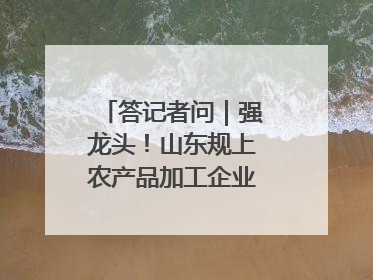 答记者问｜强龙头！山东规上农产品加工企业数量、年营收均居全国首位
