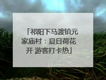 祁阳下马渡镇元家庙村：夏日荷花开 游客打卡热