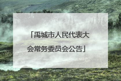 禹城市人民代表大会常务委员会公告