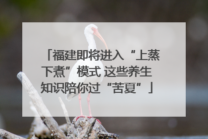 福建即将进入“上蒸下煮”模式 这些养生知识陪你过“苦夏”