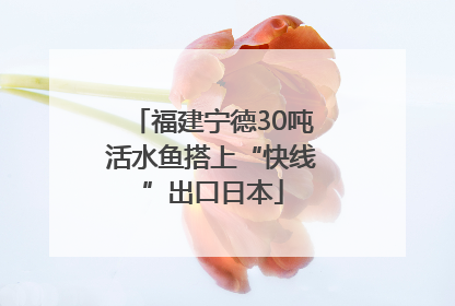 福建宁德30吨活水鱼搭上“快线”出口日本