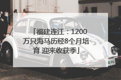 福建连江：1200万只海马历经8个月培育 迎来收获季