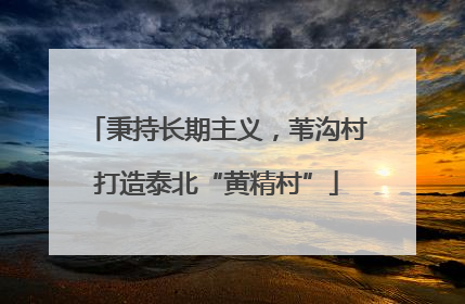 秉持长期主义，苇沟村打造泰北“黄精村”
